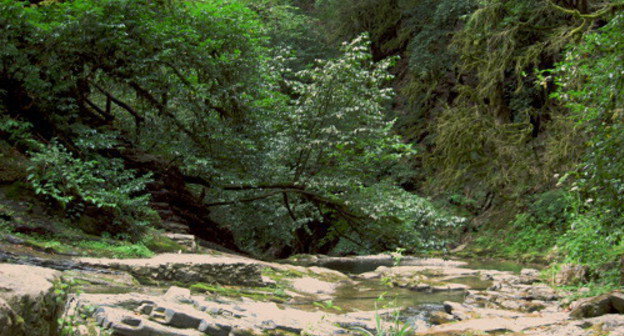 The Bezumenka river gorge which flows into the Sochi river. Sochi, Khosta District, August 2013. Photo by Vyacheslav Yaschenko for the "Caucasian Knot"