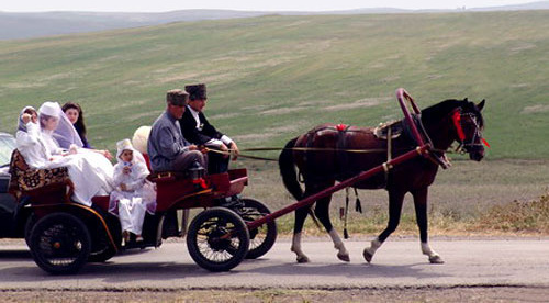 Ingushetia, wedding. Photo by www.ingushetia.ru