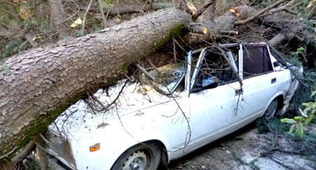 A car broken as a result of the storm. Sochi, September 26, 2013. Photo by Svetlana Kravchenko for the ‘Caucasian Knot’. 