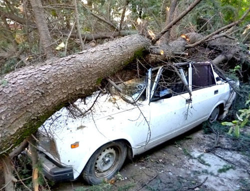 A car broken as a result of the storm. Sochi, September 26, 2013. Photo by Svetlana Kravchenko for the ‘Caucasian Knot’. 