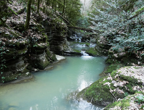 The Dzykhrin Gorge in Sochi. Photo from Valery Suchkov’s blog, http://blogsochi.ru/ 