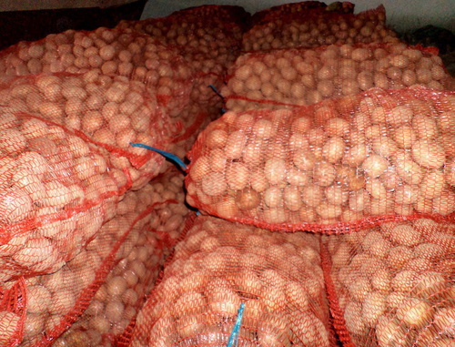 Sacks of potatoes. Photo: http://pskov.fruitinfo.ru/trade/realizuem-kartofel-optom-22410