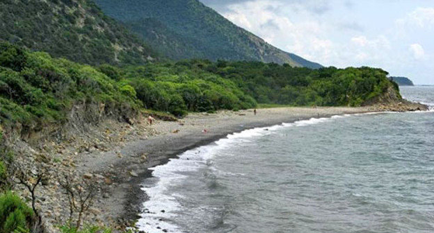 Utrish Reserve, Krasnodar Region. Photo: Tanya Podust http://commons.wikimedia.org