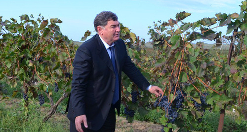 Minister of Agriculture and Foodstuffs of Dagestan Batal Batalov. Photo: http://mcxrd.ru/?id=1390760426/1390761847/1391670035&amp;parm=gl-%3E1390760426/1390761847/1391670035/1412168837