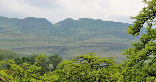 Forest highlands in Dagestan. Photo by Magomed Magomedov for the "Caucasian Knot"