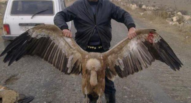 A hunter with a killed griffon vulture, https://econews.am/?p=9194&amp;l=am