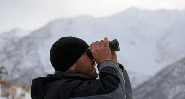 Searches in the mountains. Photo: Vlad Alexandrov, YUGA.ru