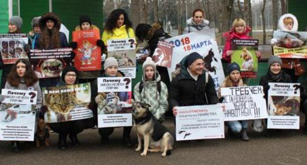 Rally of zoo-defenders in Krasnodar, February 24, 2018. Photo by Inessa Gonchar for the 'Caucasian Knot'. 