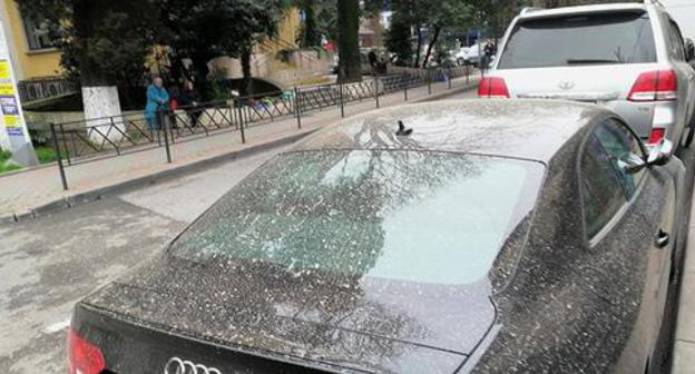 Coloured precipitation fell in the Krasnodar Territory. Sochi, March 23, 2018. Photo by Svetlana Kravchenko for the "Caucasian Knot"