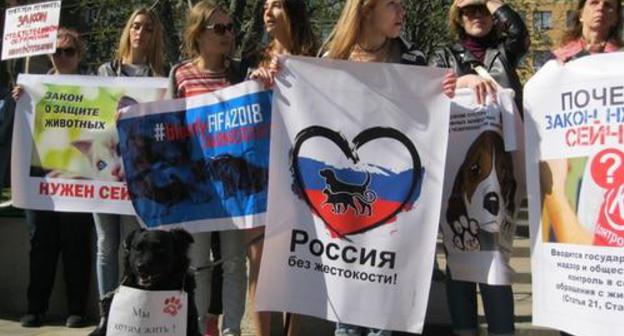 Rally of zoo activists in Rostov-on-Don, April 14, 2018. Photo by Konstantin Volgin for the Caucasian Knot