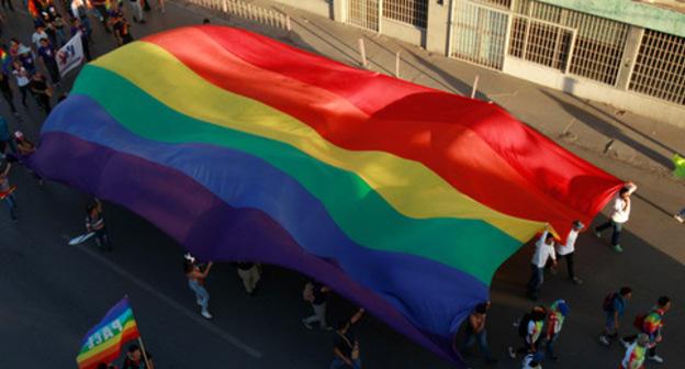 A march with the flag of LGBT. Photo: REUTERS/Jose Luis Gonzalez