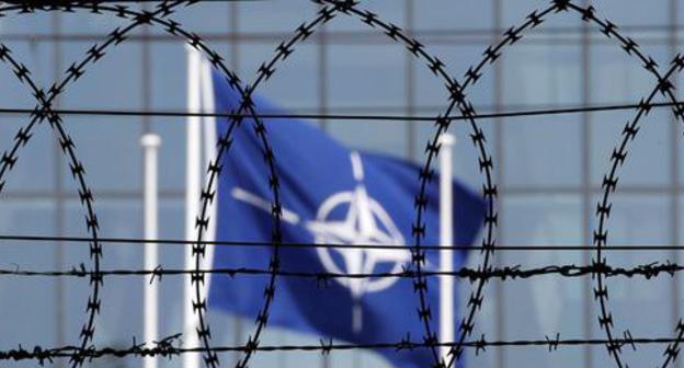 NATO flag. Photo: REUTERS/Christian Hartmann