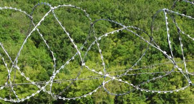 Barbed wire. Photo by Nina Tumanova for the "Caucasian Knot"