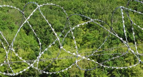 barbed wire torture