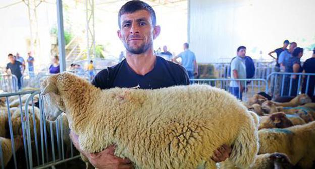 A sheep seller. Photo by Aziz Karimov for the "Caucasian Knot"