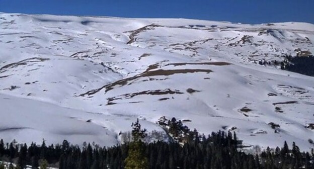 Lago-Naki Plateau. Photo: "Ecological Watch for Northern Caucasus" (EcoWatch), http://www.ewnc.org/node/27357