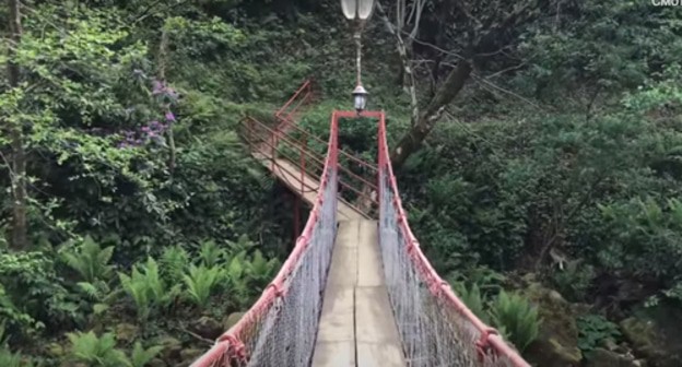 The Mtirala National Park. Screenshot of the video by Oleg Velishko https://www.youtube.com/watch?v=QGUQtkCBZrw&amp;t=184s