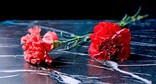 Carnations at a memorial. Picture made in Photoshop by the "Caucasian Knot"