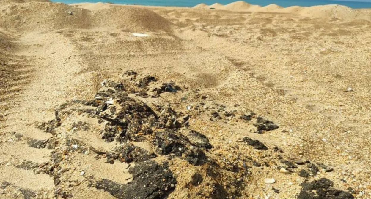 Fuel oil spills on the Bugayskaya Spit. Screenshot from the "SSL Volunteers" Telegram channel, March 18, 2026, https://t.me/setisitolopata/2726?single Fuel oil spills on the Bugayskaya Spit. Screenshot from the "SSL Volunteers" Telegram channel, March 18, 2026, https://t.me/setisitolopata/2726?single