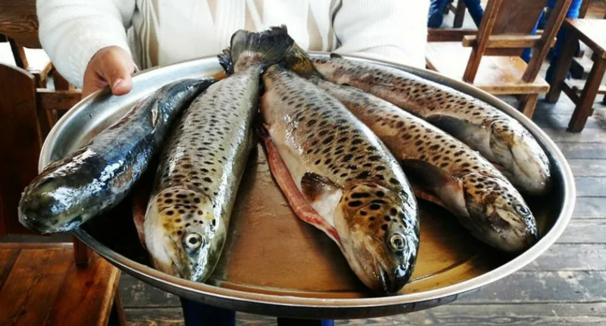 Fish. Screenshot from https://exportarmenia.am/most-popular-armenian-products/. Fish. Screenshot from https://exportarmenia.am/most-popular-armenian-products/.